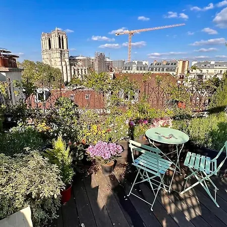 Rooftop Triplex With Garden At Notre Dame *